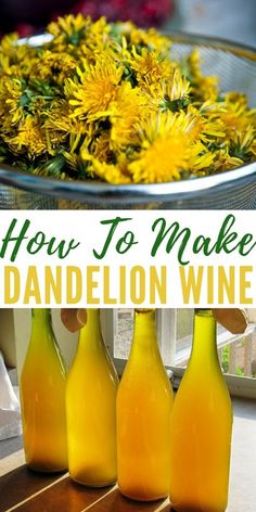 how to make dandelion wine