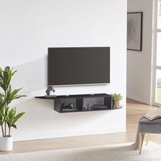 a flat screen tv mounted to the side of a wall next to a potted plant