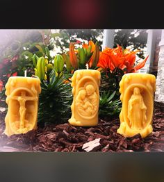 three carved candles sitting on top of a bed of dirt next to flowers and plants