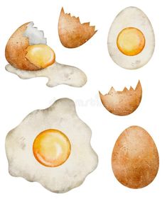 Watercolor golden raw egg. Food realistic illustration stock photo Watercolor Paintings Food, Eggs Drawing, Food Watercolor Illustration, Egg Sketch, Watercolour Food Illustrations, Watercolor Eggs, Egg Drawing Art, Food Illustration Art Watercolour, Food Watercolor