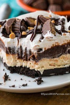 a piece of ice cream cake on a plate with chocolate chips and oreo cookies