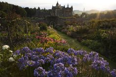 the sun is shining over a garden with flowers and plants in front of an old castle