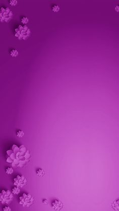 a purple background with lots of flowers on the bottom right corner and one flower in the middle