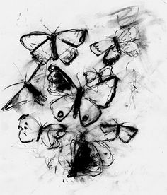 black and white drawing of many butterflies