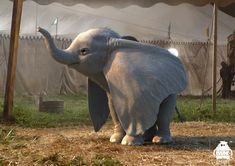 an elephant standing under a tent in the grass