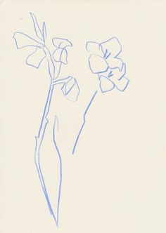 a blue line drawing of flowers in a vase