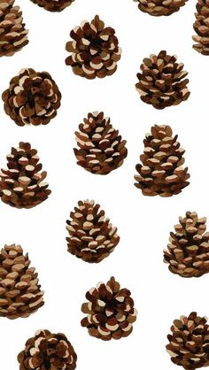 many pine cones are arranged on a white surface