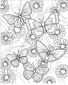 butterflies and daisies coloring page with flowers in the foreground, black and white