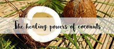 The Healing Powers of Coconut | Don Tolman International Healthiest Food, Food Health Benefits, Organic Fruits And Vegetables, Food Choices, Healthy Food Choices, Self Healing