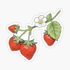 cute strawberry fruit fruit art retro 70s art 70s cute designs nature flower plant plant drawing strawberry drawing flowers plants Trending topics pride month t-shirts juneteenth t-shirts fathers day t-shirts rhubarb stickers sigma stickers claudia sheinbaum stickers genx stickers film t-shirts graphic t-shirts retro aesthetic stickers summer bucket list stickers girl core stickers summer aesthetic stickers graduation stickers dj stickers gemini season stickers fanfic stickers Cute Summer Stickers Aesthetic, Fanfic Stickers, Retro Aesthetic Stickers, Sigma Stickers, Drawing Strawberry, Red Stickers, Strawberry Drawing, 70s Art, List Stickers