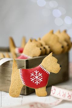 gingerbread cookies shaped like dogs in red sweaters and snowflakes on a table