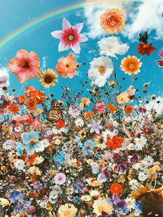 a field full of flowers and butterflies under a blue sky with a rainbow in the background