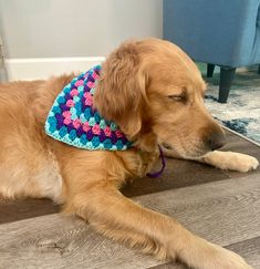 a dog laying on the floor wearing a crocheted bandana around its neck