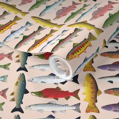 a wallpaper with fish on it in various colors and sizes, including salmons