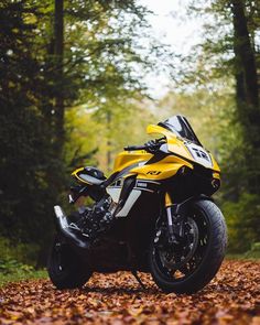 a yellow and black motorcycle parked in the woods