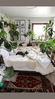 a bedroom with lots of plants in the corner and a cat laying on top of the bed