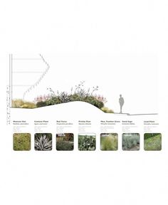 an image of a man standing on top of a hill with many different types of plants