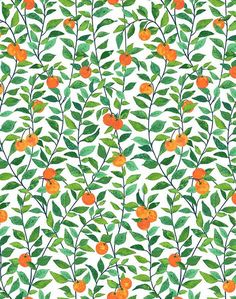 Paper Fruit, Lulu And Georgia, Statement Wall, Tree Wallpaper, Orange Crush, Paper Wallpaper, Eco Friendly Paper