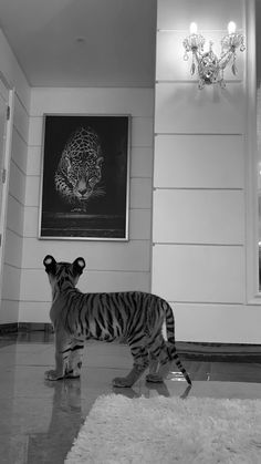 a black and white photo of a tiger in a room