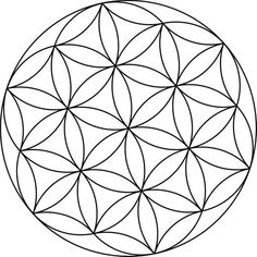 the flower of life is shown in black and white