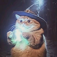 a cat wearing a witches hat and holding a glowing ball in it's paws