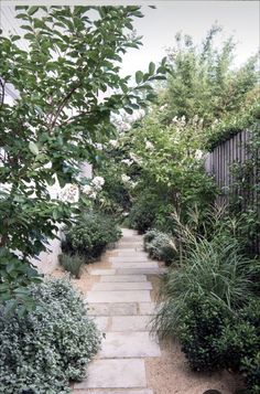 a stone path surrounded by trees and bushes