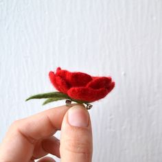 a person holding a tiny red flower in their hand