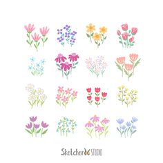 a bunch of flowers that are on a white background with the words sketch and studio