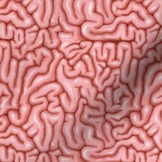 the inside of a human brain is shown in this image, it appears to be pink