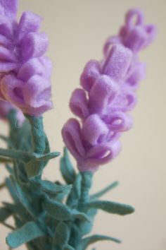 some purple flowers are in a glass vase