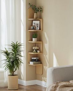 a living room filled with furniture and a potted plant on top of a shelf