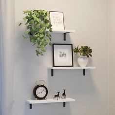 two white shelves with plants and pictures on them