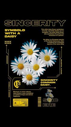 the back side of a poster with daisies in yellow and white, on a black background