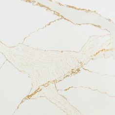 a white marble floor with gold veining on the edges and an abstract design in the middle