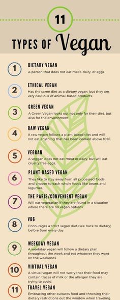 the types of vegan info sheet