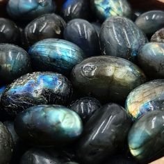 some black and blue eggs in a bowl