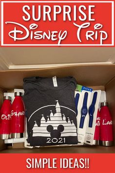 the surprise disney trip box is filled with items