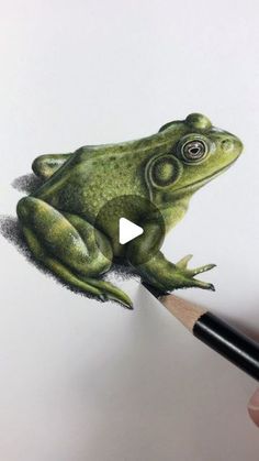 a drawing of a frog with a pencil in it's mouth