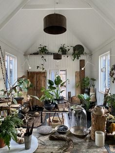 a room filled with lots of potted plants