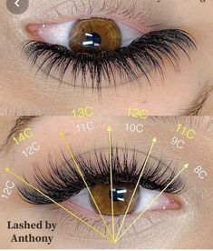 Hybrid Wispy Eyelash Extensions Cat Eye Mapping, Eyelash Extensions Mapping, Eyelash Lift And Tint, Eyelashes Tutorial, Lash Maps, Lash Mapping, Lashes Tutorial