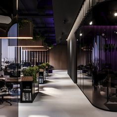 an empty conference room with purple lighting and glass walls, along with potted plants