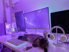 a cat laying on a desk next to two computer monitors and a keyboard with headphones