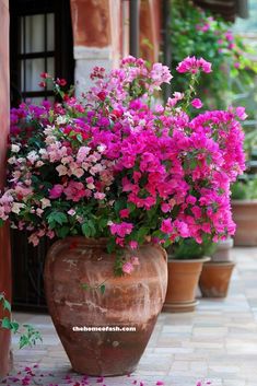 a large vase filled with pink flowers on top of a tiled floor next to potted plants