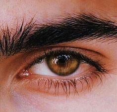 Amber Eyes Aesthetic Male, Brown Eyes Aesthetic Male, Amber Eyes Men, Yellow Eyes Male, Dark Amber Eyes, Amber Eyes Aesthetic, Kingdom Of The Wicked Aesthetic, Emilia Aesthetic, Amber Eyes Color