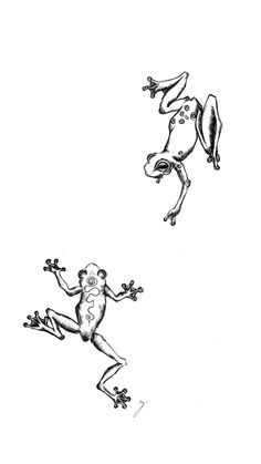 a drawing of two frogs jumping up and down in the air with their legs spread out