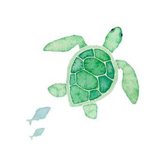 a watercolor painting of a green turtle and two small fish swimming in the ocean