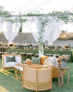 an outdoor seating area with wicker furniture and greenery on the walls, along with white drapes