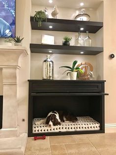 a black and white dog laying on its bed in front of a fireplace with shelves above it