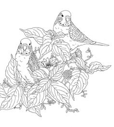 two parakeets sitting on top of a tree branch with leaves and flowers around them