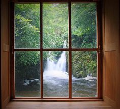 an open window looking out onto a lush green field and trees outside the window are branches with leaves on them